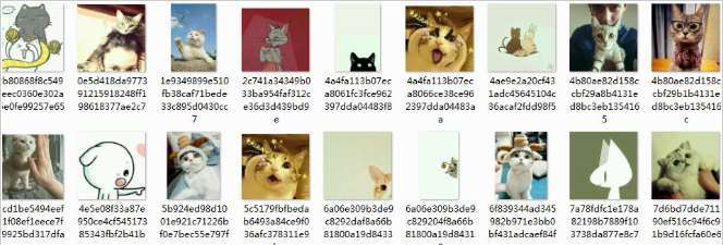 同一系列的可爱猫咪头像宠物情头图片大全