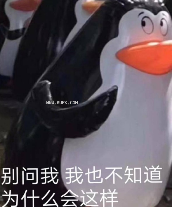 我羽绒服都穿了你给我看这个qq表情包