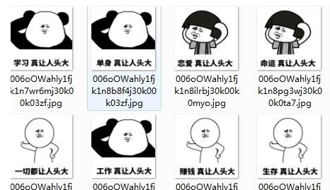 真让人头大系列qq表情包