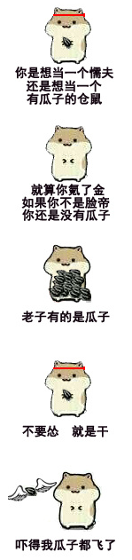 小仓鼠掉瓜子qq表情包