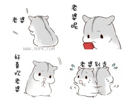 小仓鼠爱老婆QQ表情包