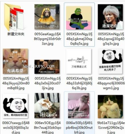 万能懵逼公式qq表情系列