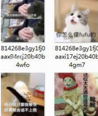泥怎么撒fufuqq表情包