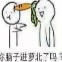 脑子进萝北了么qq表情包下载