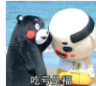 安慰人的熊本熊表情包