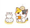 油猫饼表情包 高清版