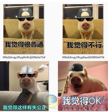 我觉得不行表情包 高清版