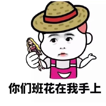 我长得美没办法表情包