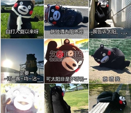 自打入夏以来就独得太阳恩宠表情包 无水印版