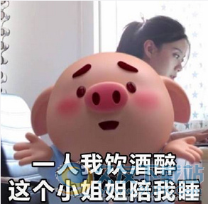 猪小屁表情包 无水印版