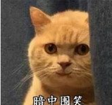 我妈不让我跟傻子玩表情包 完整版