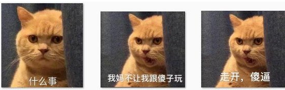 我妈不让我跟傻子玩表情包 完整版