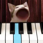 流行猫钢琴