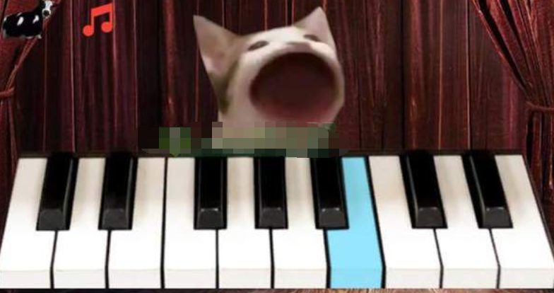 流行猫钢琴截图2