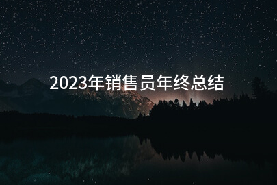 2023年销售员年终总结(精选6篇)