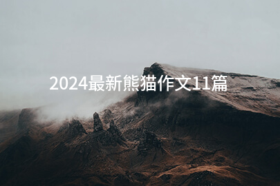2024最新熊猫作文11篇