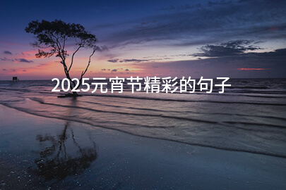 2025元宵节精彩的句子