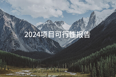 2024项目可行性报告(范本十二篇)