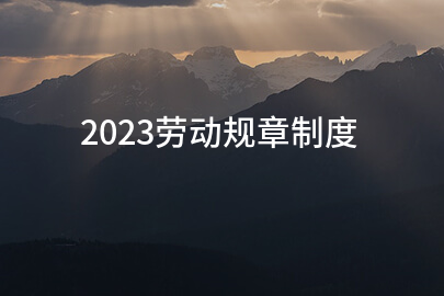 2023劳动规章制度(精华11篇)