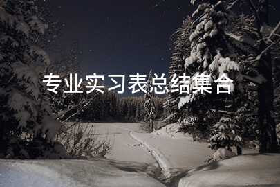 专业实习表总结集合