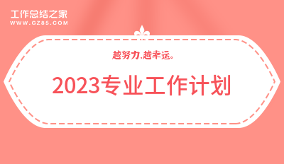 [热门]2023专业工作计划精选10篇