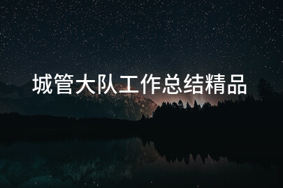 城管大队工作总结精品